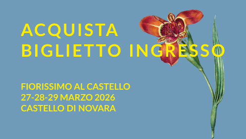 Ingresso giornaliero